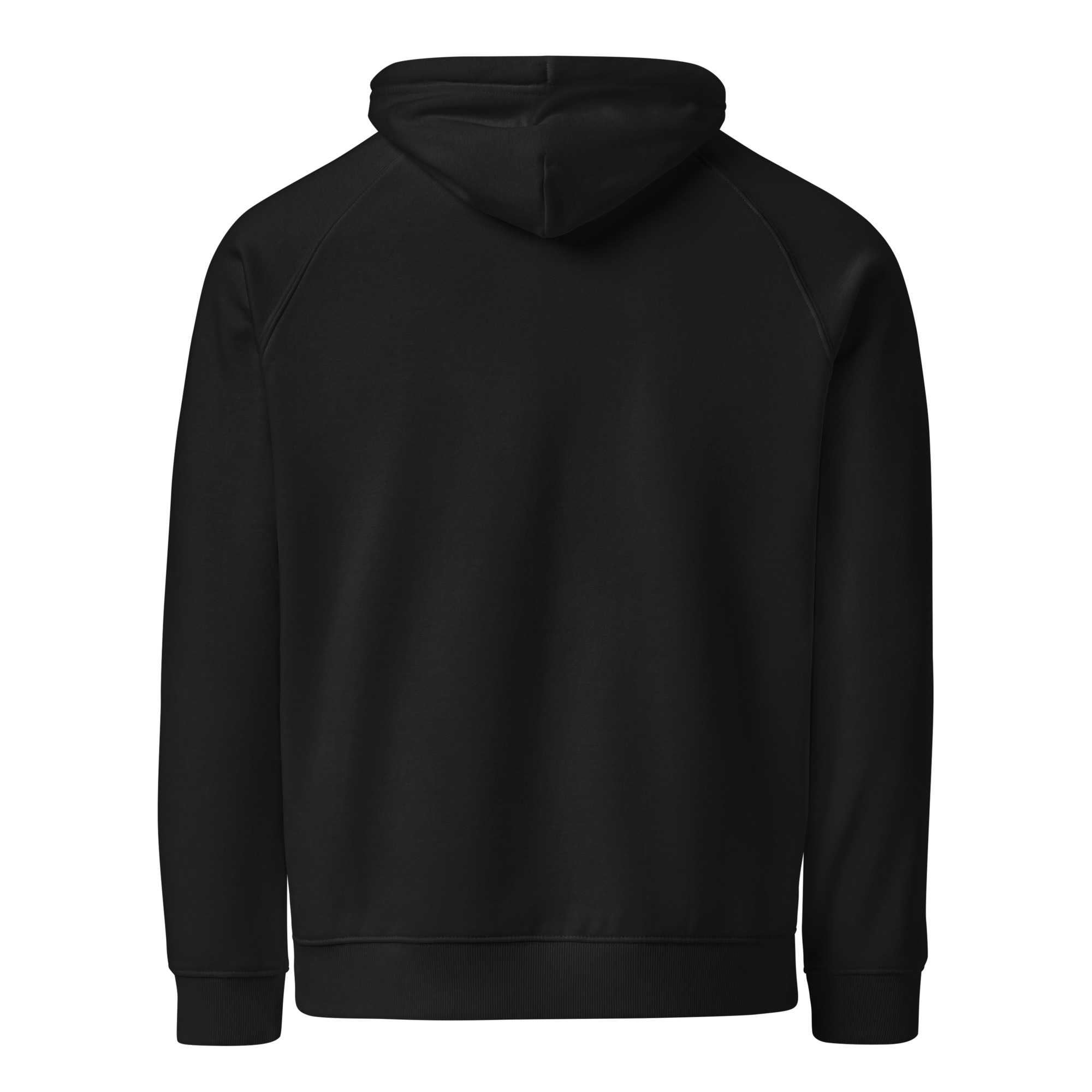 unisex-eco-raglan-hoodie-black-back-68eb18f5ea032.jpg